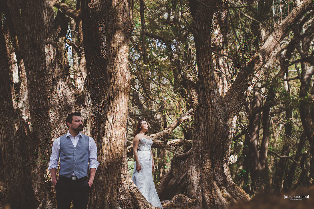 fotografo bodas guadalajara
