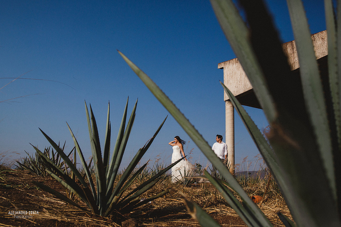 fotógrafo bodas guadalajara
