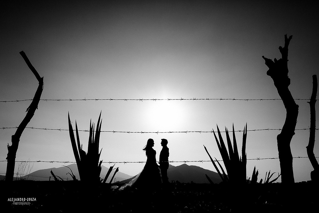 fotógrafo bodas guadalajara