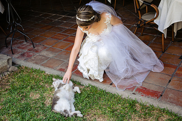 bodas guadalajara