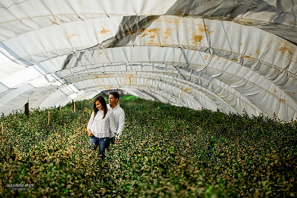 fotógrafo de bodas en guadalajara