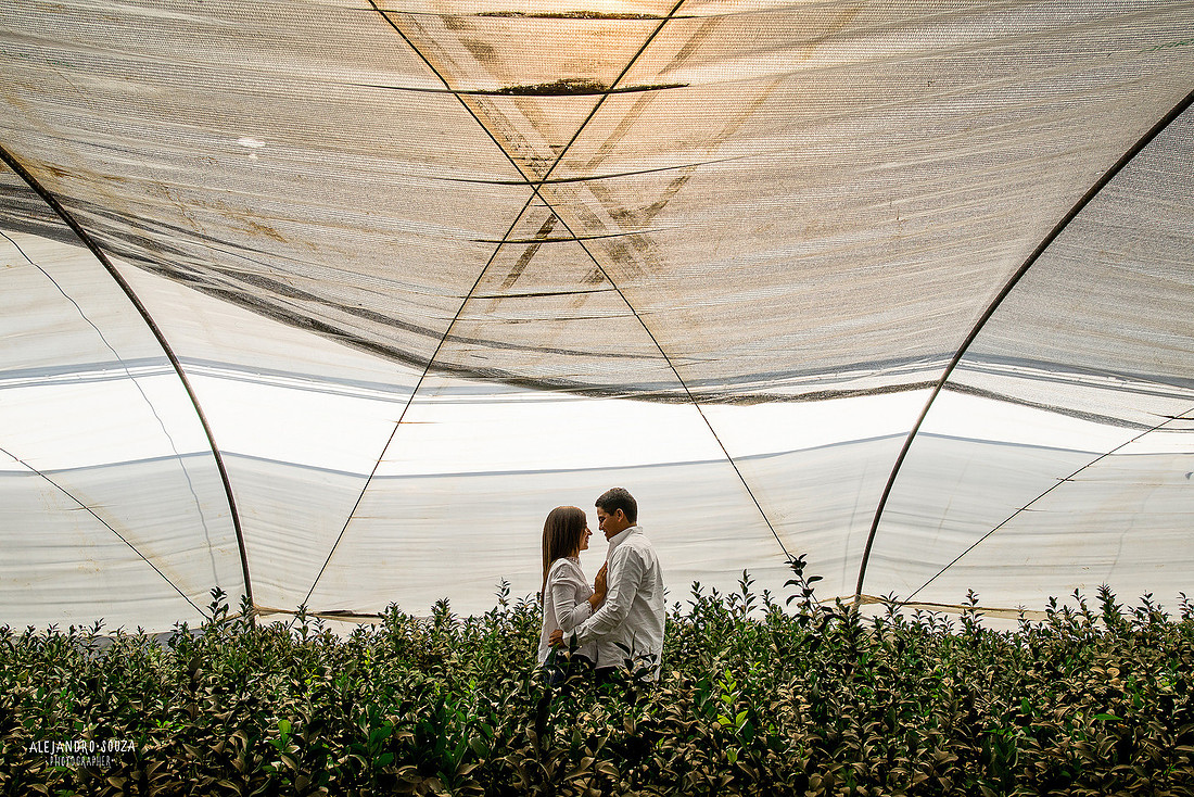 fotógrafo de bodas en guadalajara