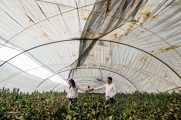 fotógrafo de bodas en guadalajara