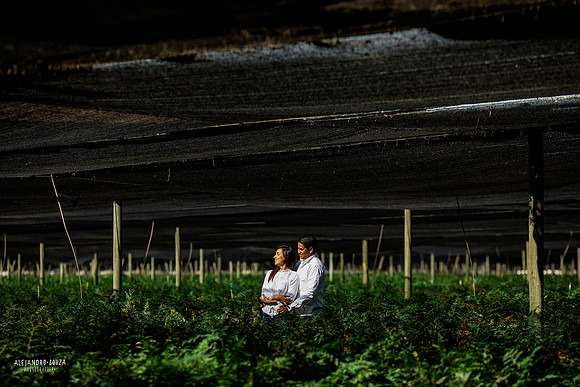 fotógrafo de bodas en guadalajara