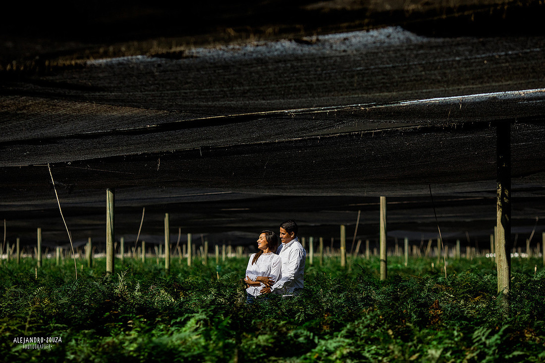fotógrafo de bodas en guadalajara