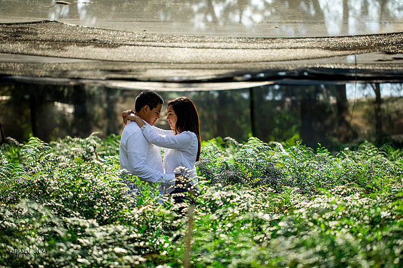 fotógrafo de bodas en guadalajara