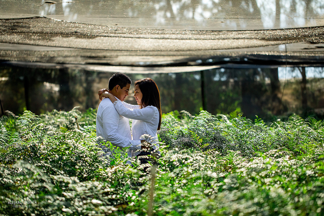 fotógrafo de bodas en guadalajara