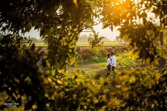 fotógrafo de bodas en guadalajara