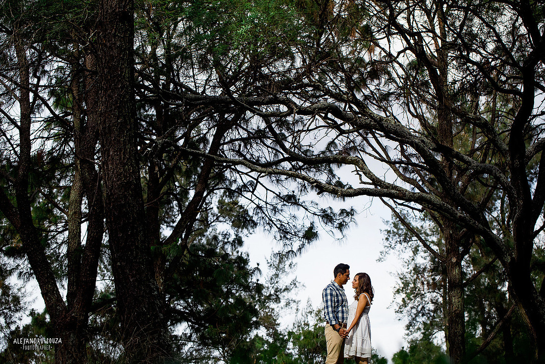 fotógrafo de bodas en guadalajara
