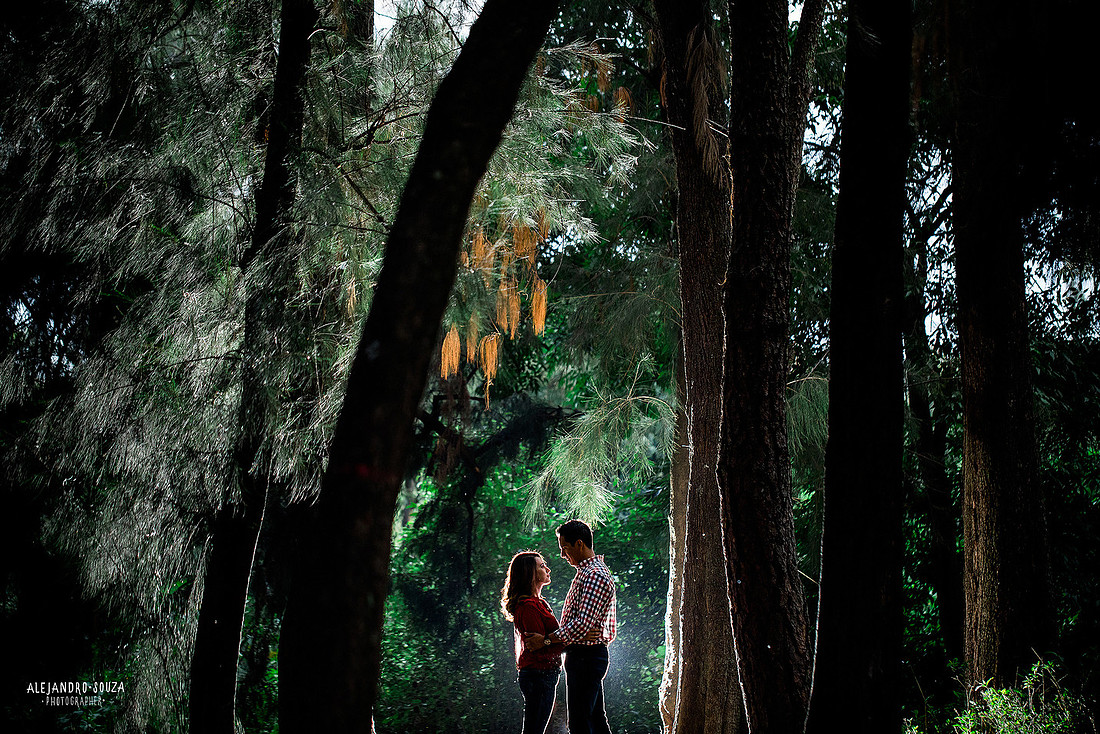 fotógrafo de bodas en guadalajara