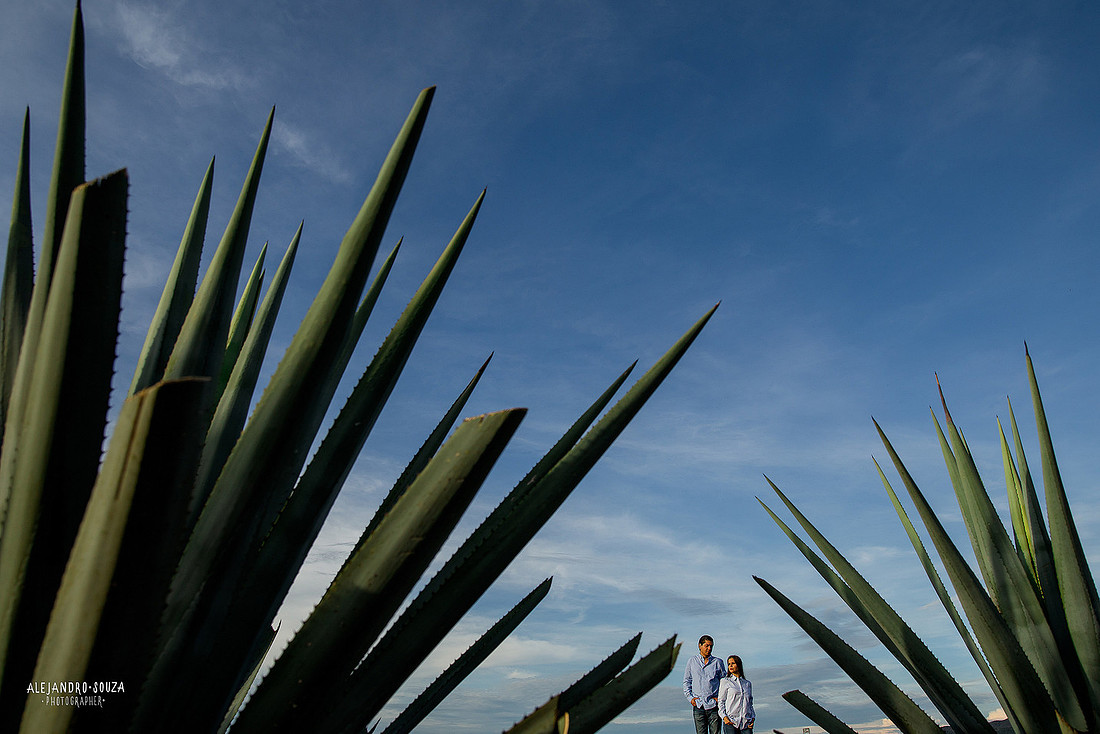 fotógrafo de bodas en guadalajara