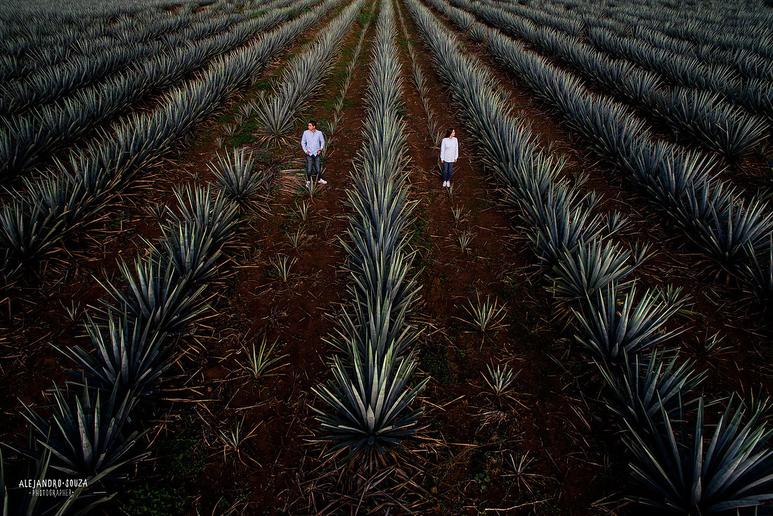 fotógrafo de bodas en guadalajara