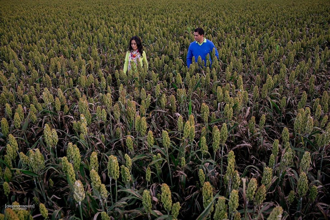 fotografo bodas guadalajara
