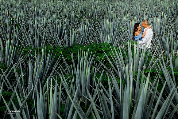 fotógrafo de bodas en guadalajara