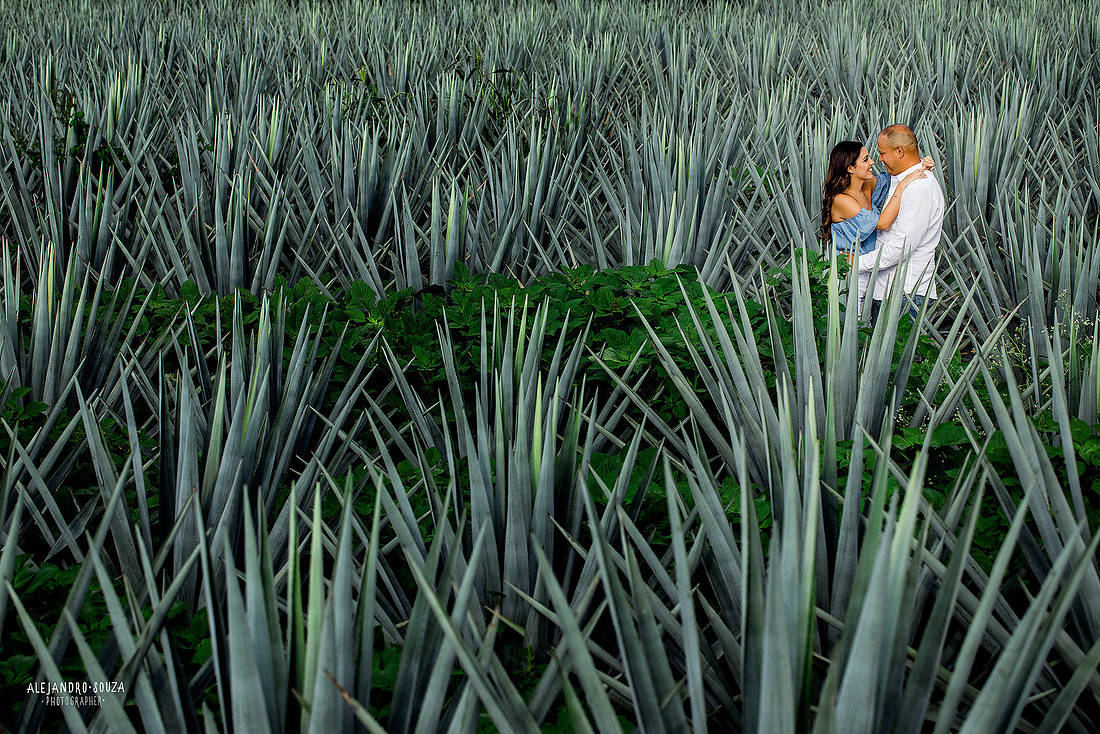 fotógrafo de bodas en guadalajara