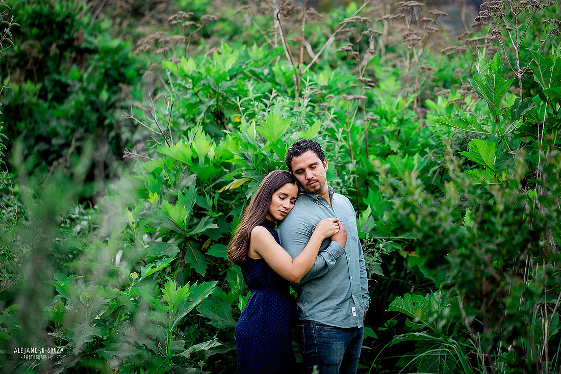 bodas guadalajara