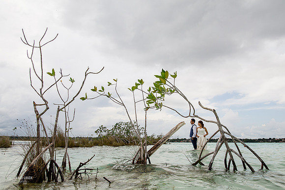 bacalar