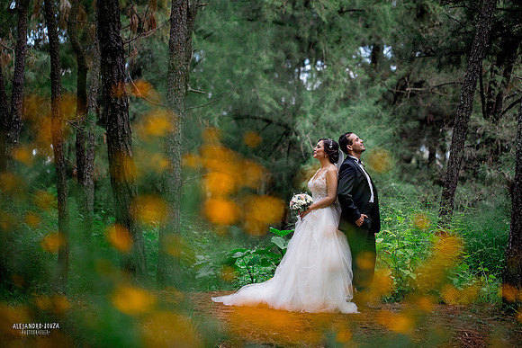 fotógrafo de bodas en guadalajara