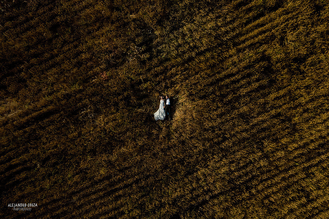 trash the dress