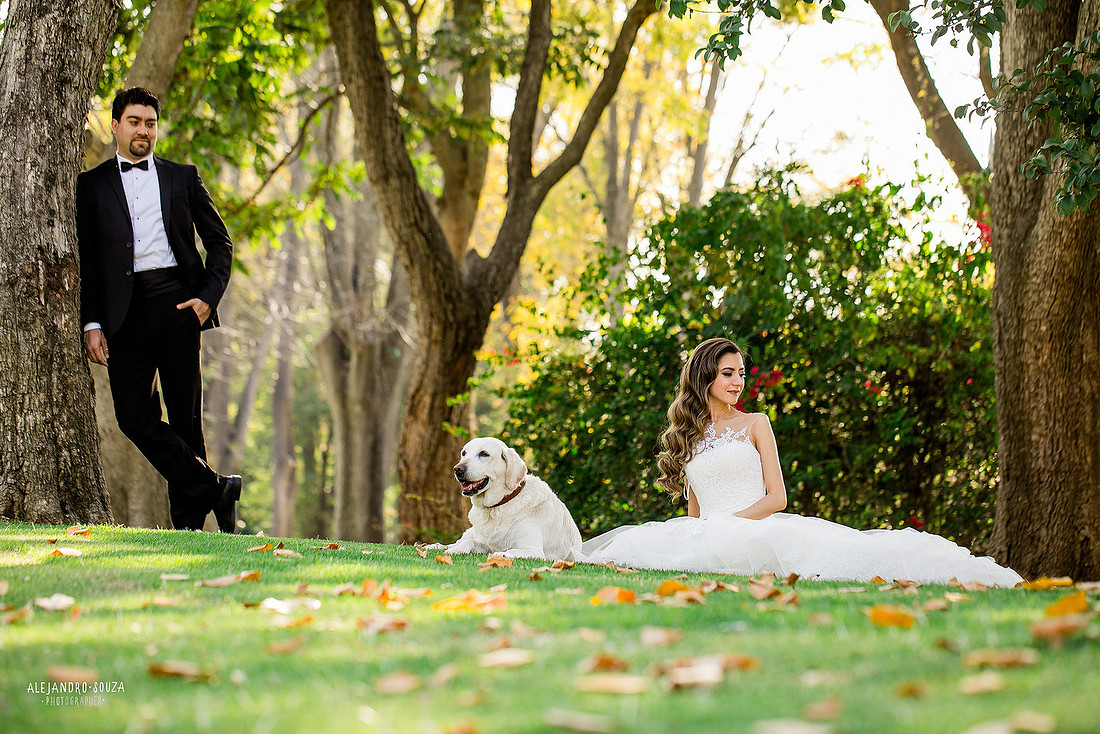trash the dress