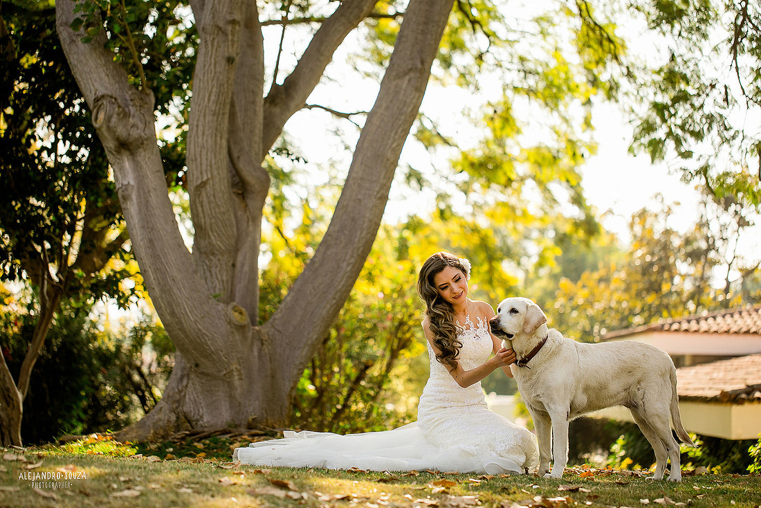 trash the dress