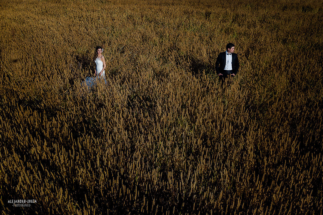 trash the dress