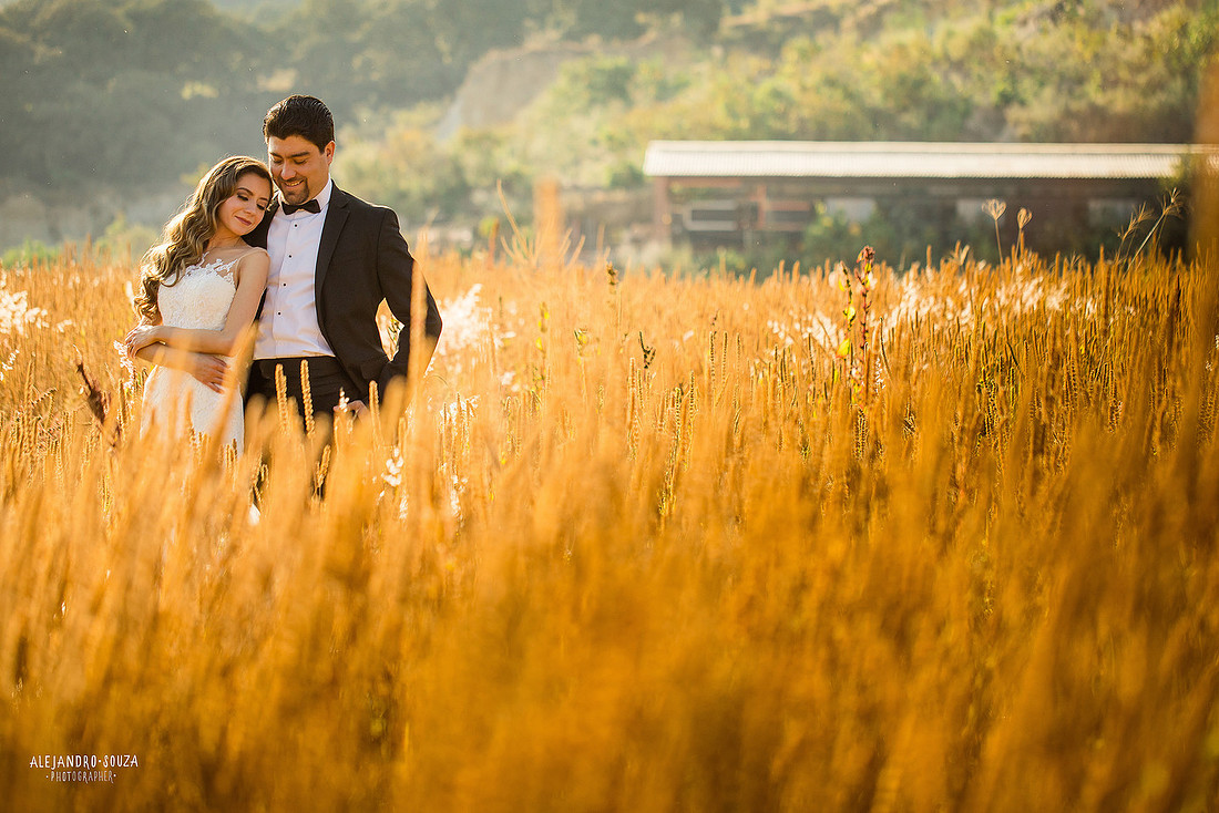 trash the dress