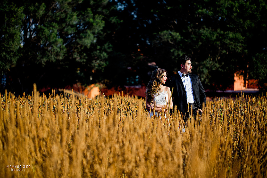 trash the dress