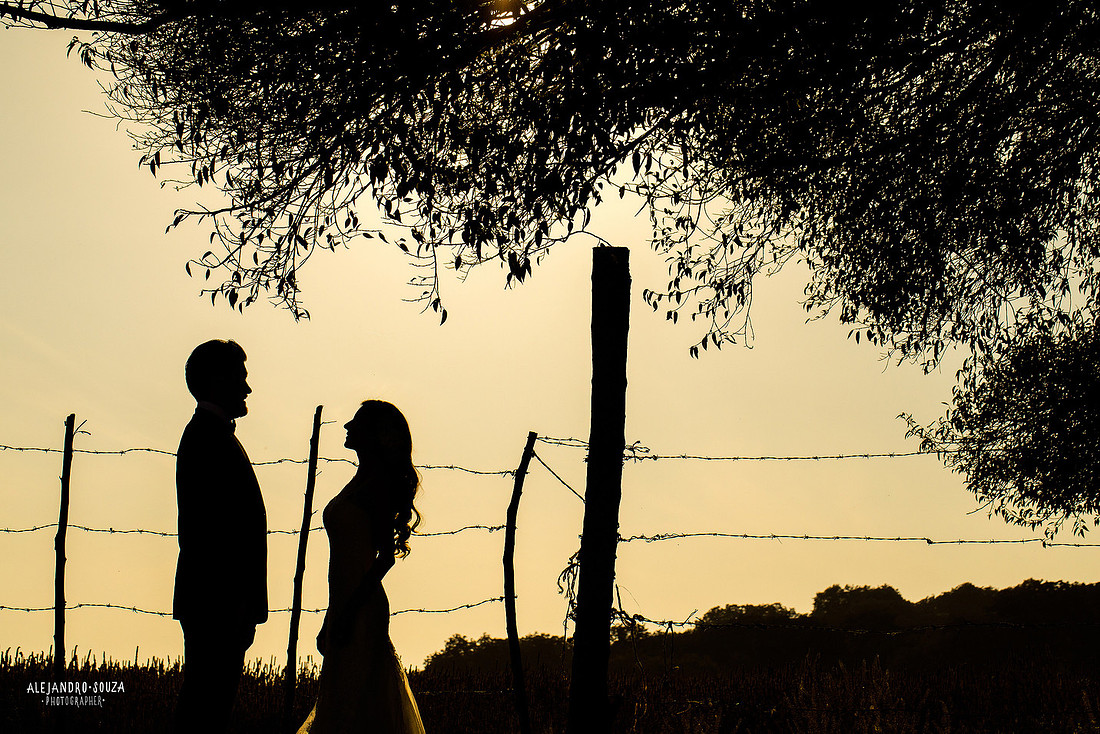 trash the dress