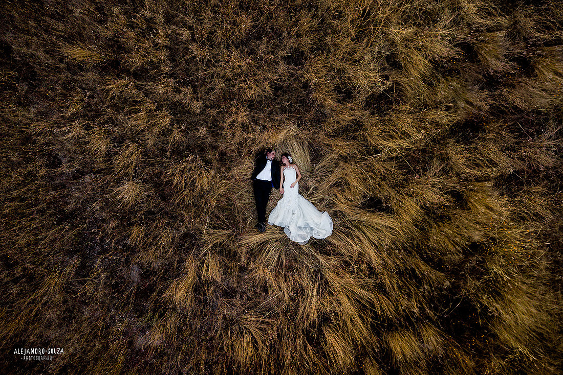 trash the dress