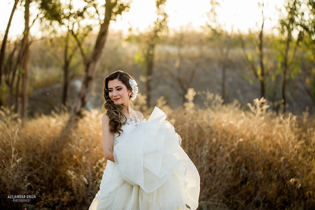 trash the dress