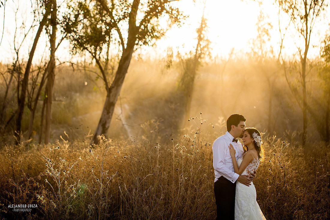 trash the dress