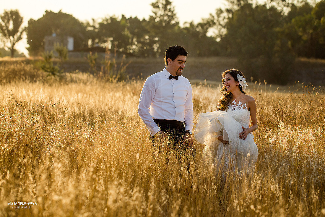 trash the dress