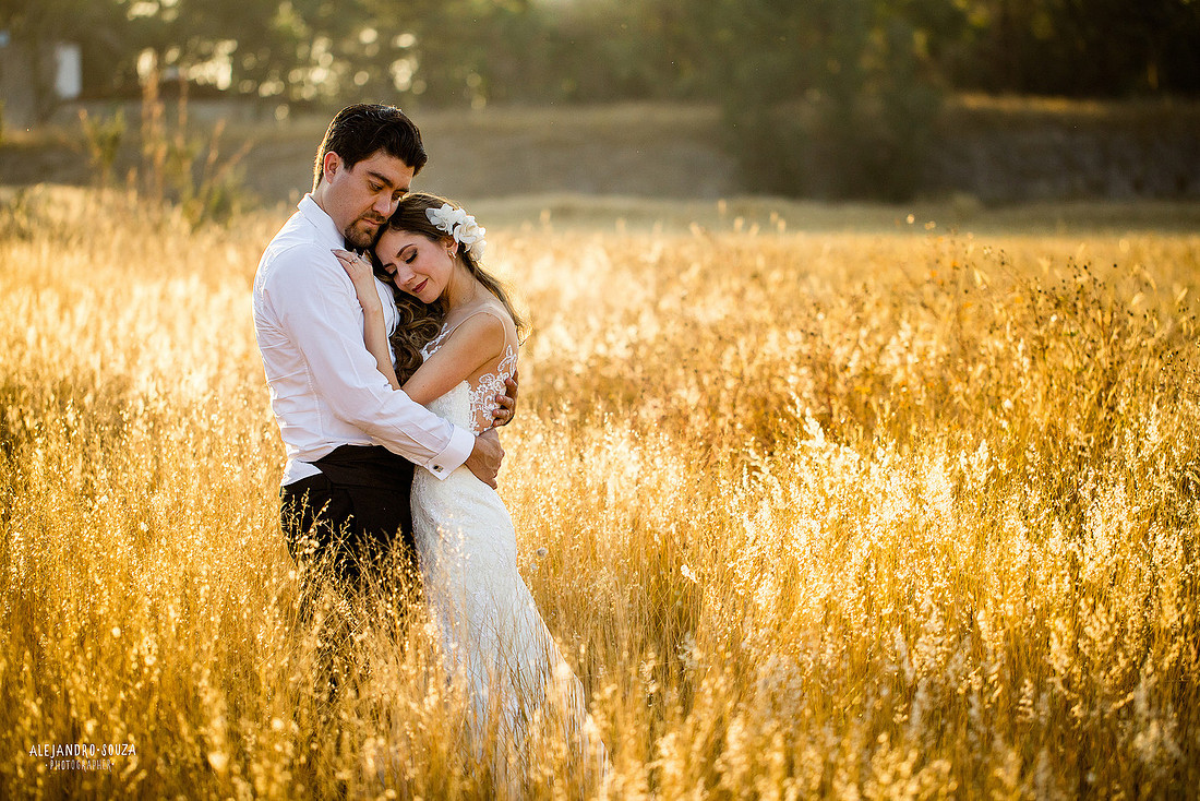 trash the dress