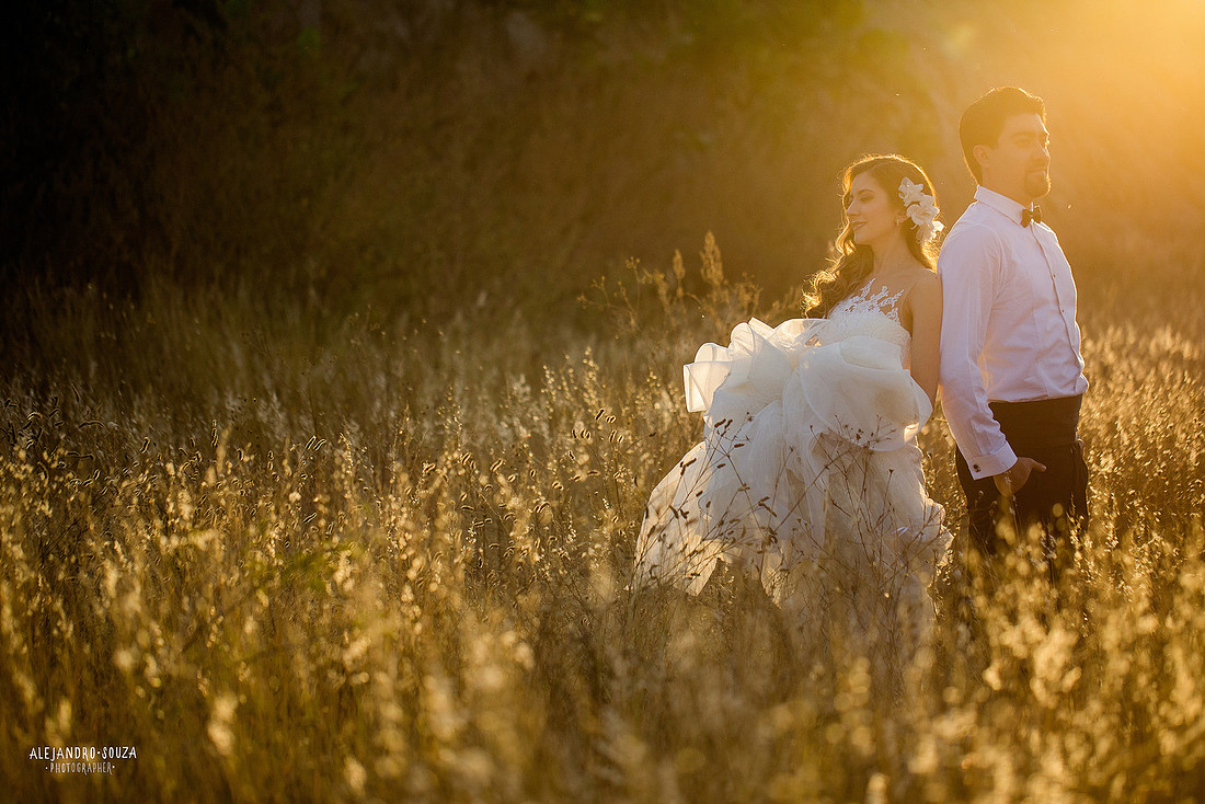 trash the dress