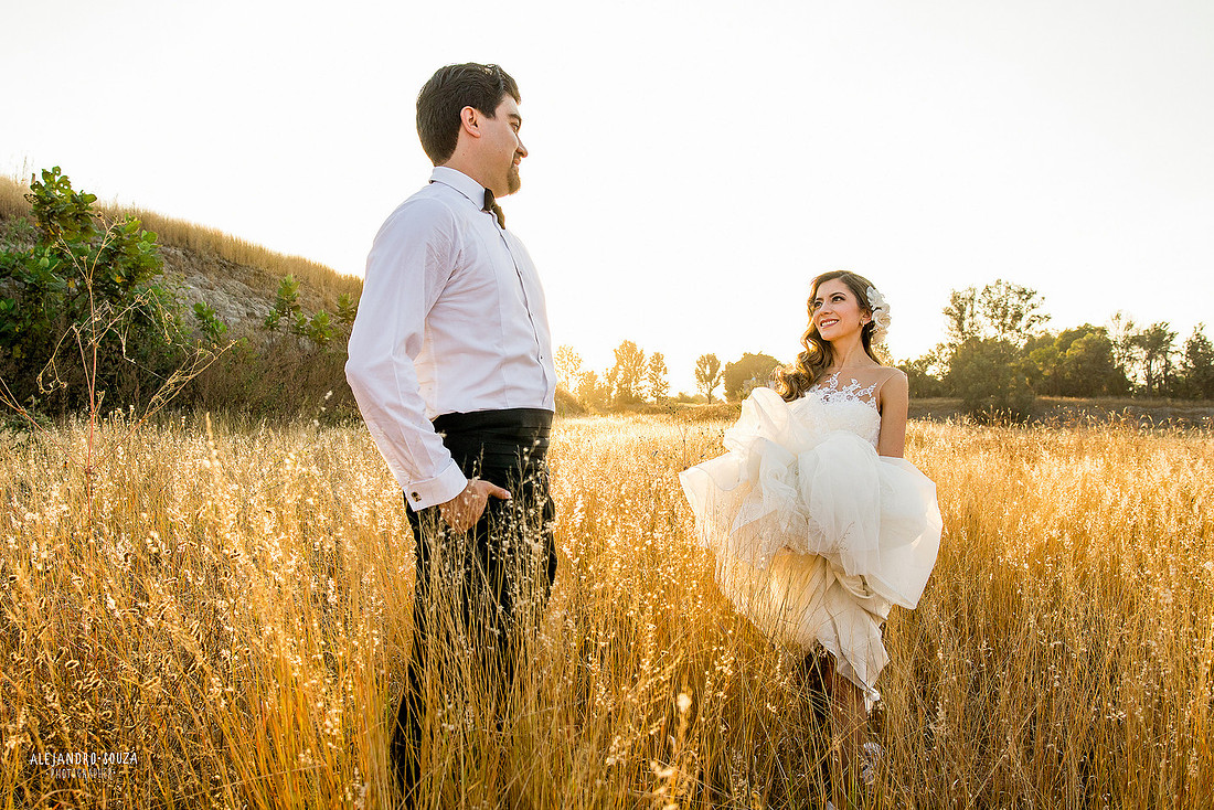 trash the dress