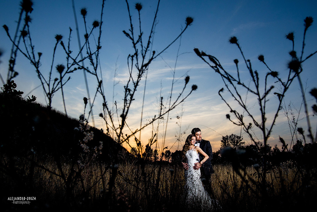 trash the dress