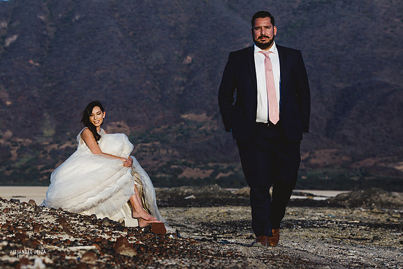 trash the dress