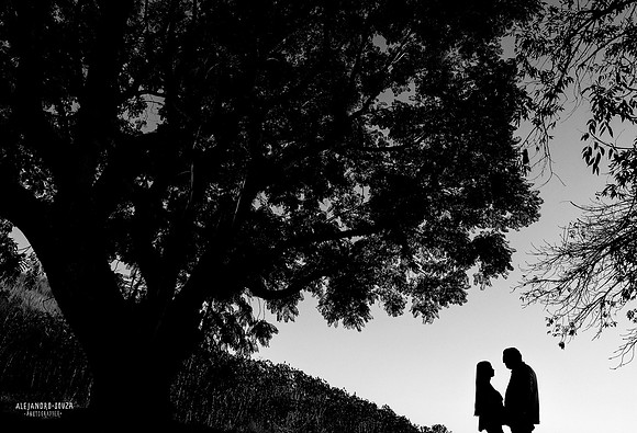 fotografo bodas guadalajara