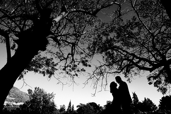 trash the dress