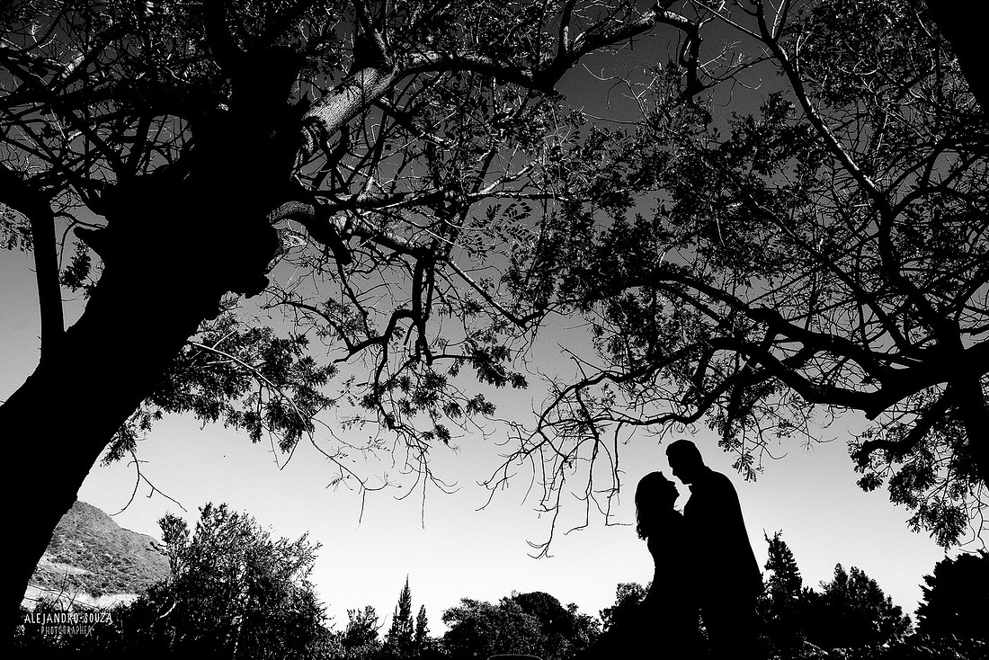 trash the dress