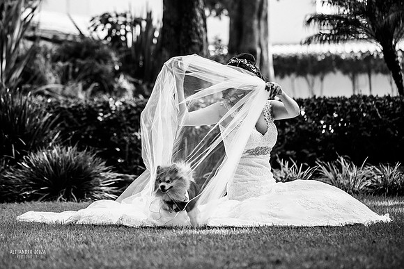 trash the dress