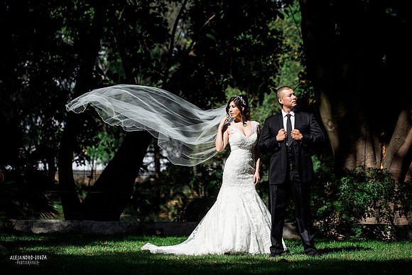 trash the dress