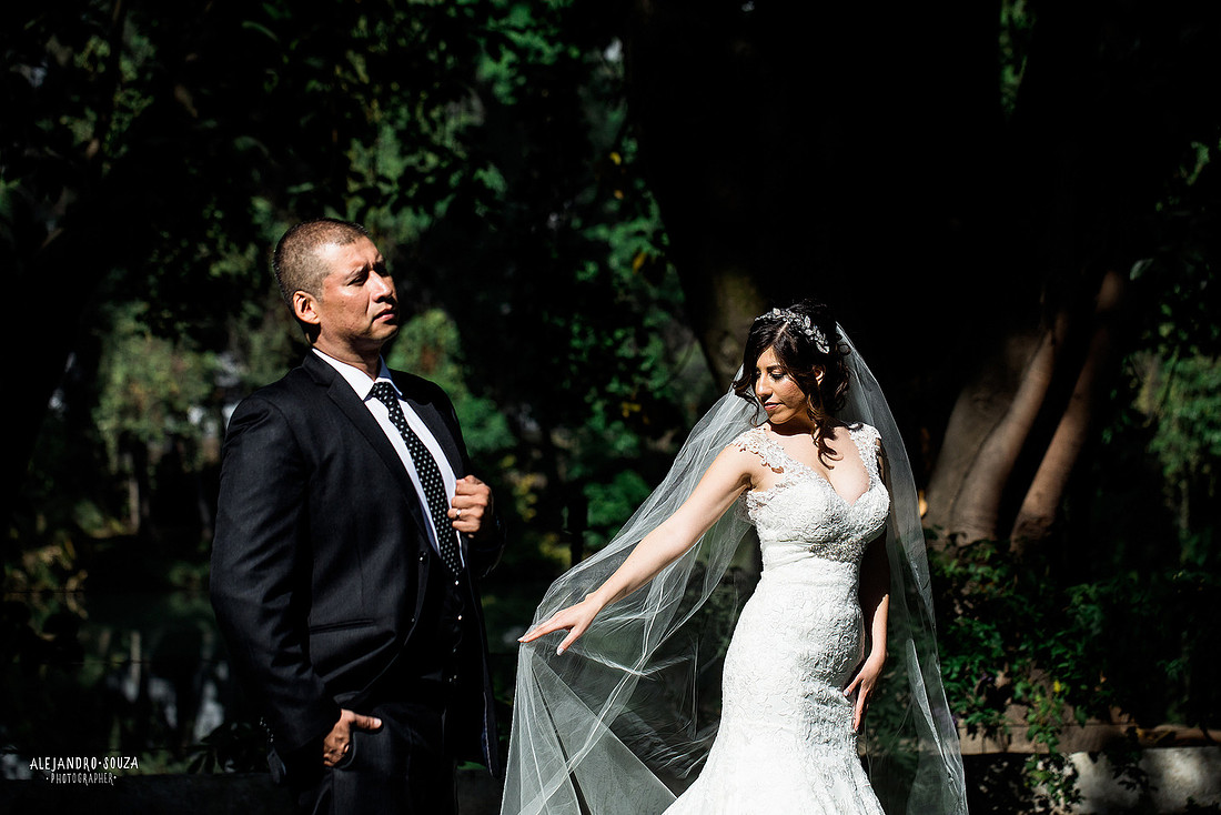 trash the dress
