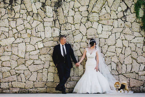 trash the dress