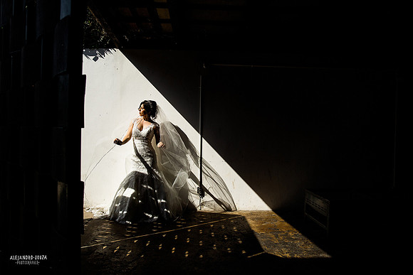 trash the dress