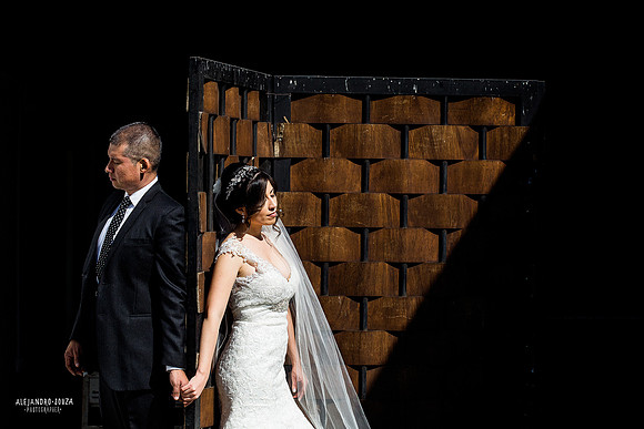 trash the dress