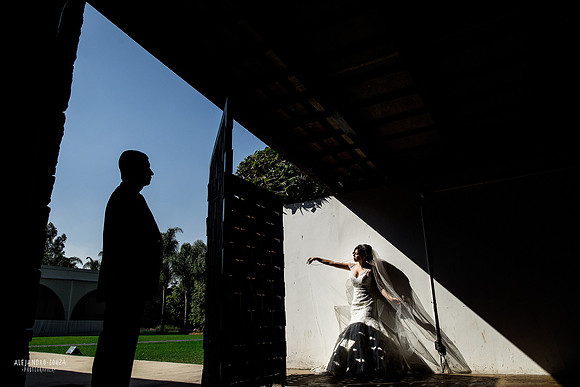 trash the dress