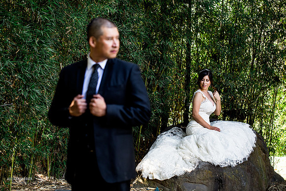 trash the dress