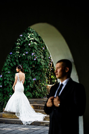 trash the dress